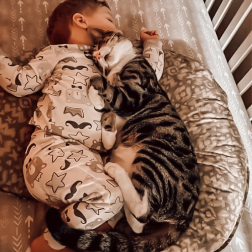 ילד וחתול ישנים יחד